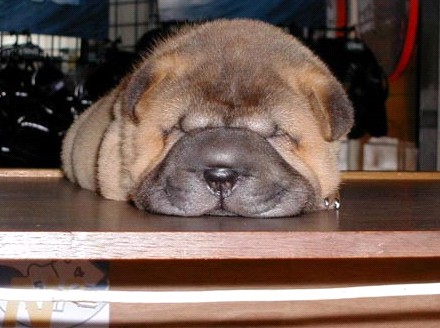 �H�������˯һС�r(sh��)����