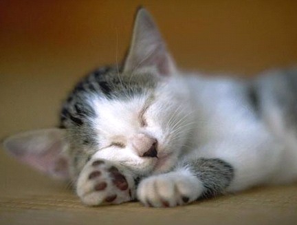 �H�������˯һС�r(sh��)����