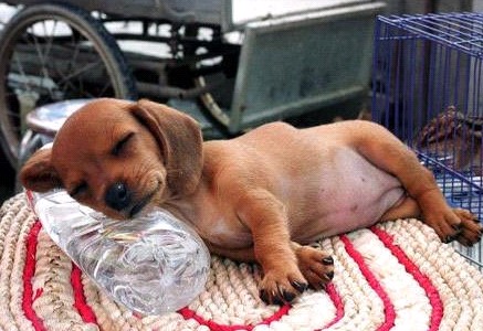 �H�������˯һС�r(sh��)����