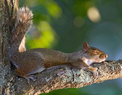 �H�������˯һС�r(sh��)����