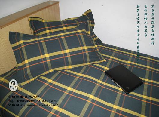 ����ĸ�ۡ��ϴֲ� �Ї������Ҽ��I(l��ng)����