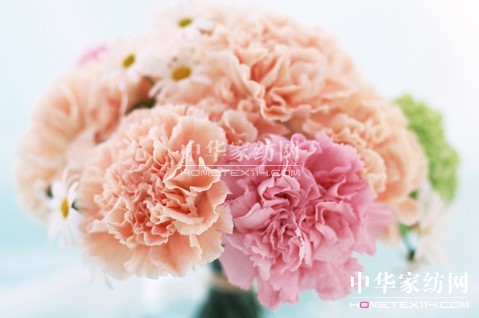 ĸ�H��(ji��)��׌�Ҽ����o������˯��