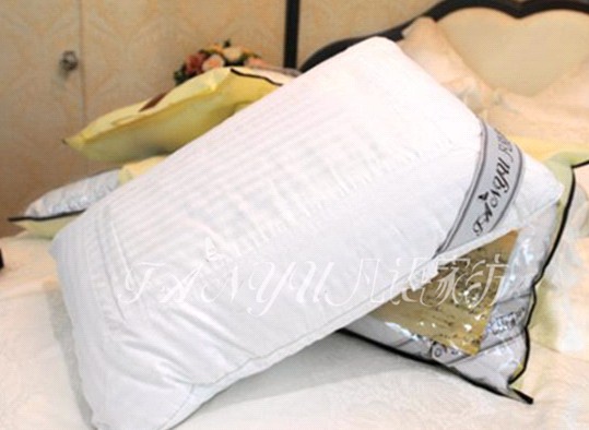 ���Z�Ҽ��������N�۵Č�(sh��)��(zh��n)���ɣ��ϣ�