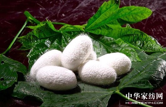 ���Z�ţ�ʹ���Q�z���ĺ�̎