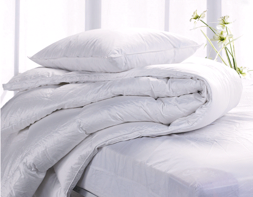 ���Z(y��)�Ҽ�����о�x�����v��