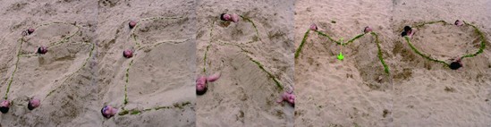 ӛ���z�Ҽ����̈F(tu��n)�(du��)���u��