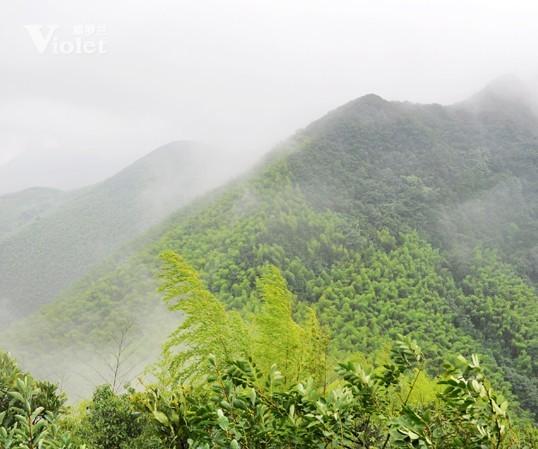 ���_�m�Ј�����ɽ��չ���������ŗ��ĈF(tu��n)꠾���