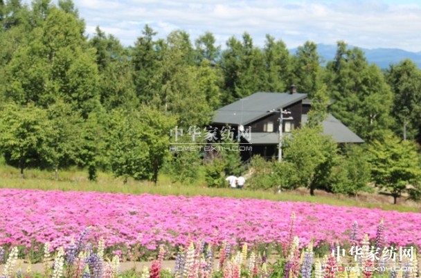 ����Ҽ���푡����ڲ��󣬑��ϱ����������(d��ng)������