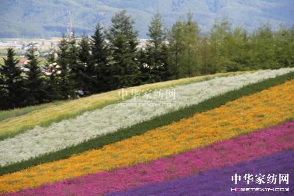 ����Ҽ���푡����ڲ��������ϱ����������(d��ng)������