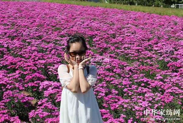 ����Ҽ���푡����ڲ��������ϱ����������(d��ng)������