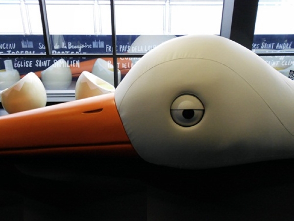 ��(d��)���B�����η����������B���ư�