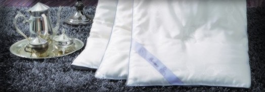 ���z�Ҽ��Ҹ��ж������H��o�r