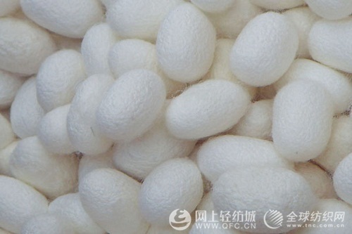 �Ĵ��Qɣ�z�I�a(ch��n)�I(y��)�l(f��)չҎ(gu��)��ͨ�^�����u��