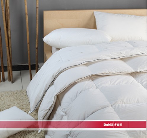 ������о�xُ(g��u)����