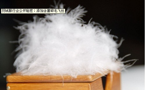 ��q�����_����:��������ë�w�z