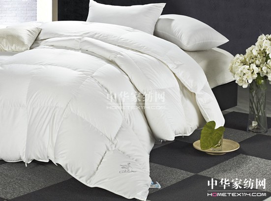 �{(l��n)�z��Ҽ�������q��С֪�R(sh��)