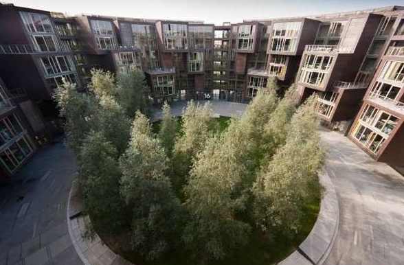 ����W(xu��)�����`�Ё�(l��i)���Ї�(gu��)����(��)