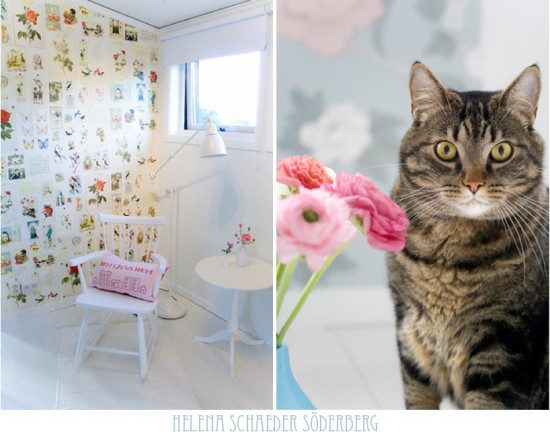 ���ˇ�g(sh��)��Helena��������(chu��ng)��Ҿ�