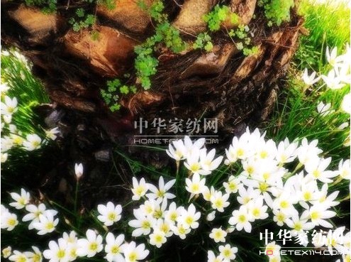 ���z�Ҽ����ƌW���o�(q��)���F��