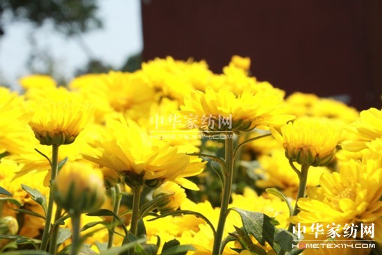 ���z�Ҽ����������B(y��ng)����