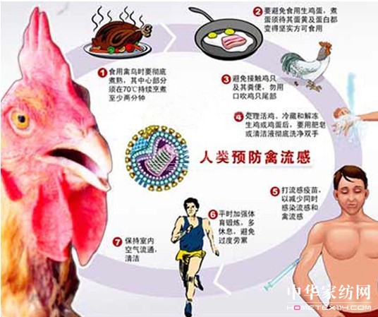 ���ҽ��x�A(y��)��ָ�ϼ����o��ʩ