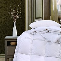 ����˹�Z�q����