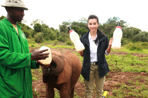 ���������"׃��"�����h�����J�B(y��ng)����