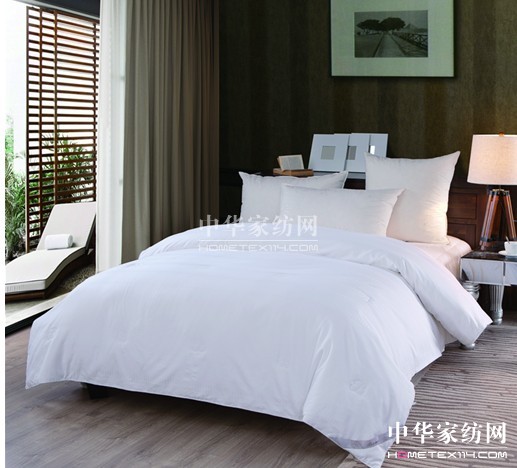 ���z���z���g�� ���(y��ng)���������