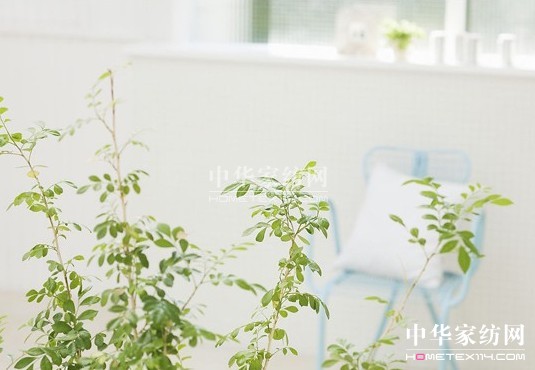 ���_�m�Ҿ�С�Nʿ