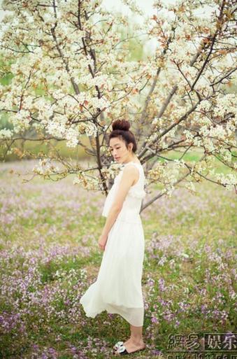 ��������Ψ�������ع�