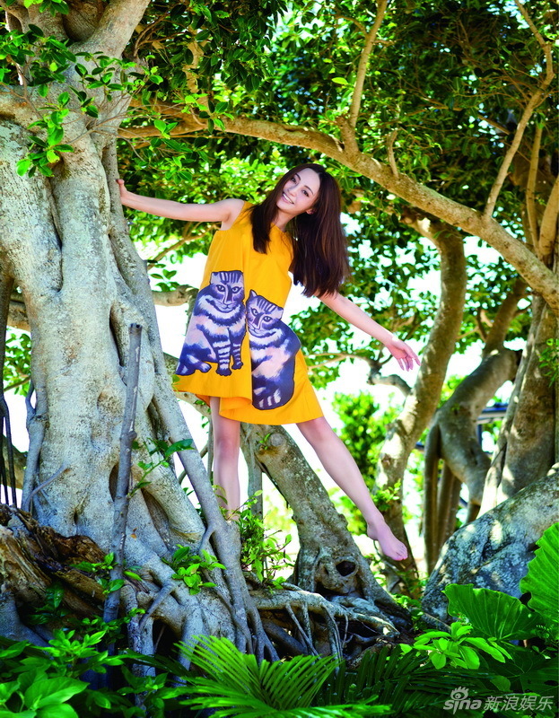 Ҧ���������Ό�(xi��)��ጷſ옷(l��)��w