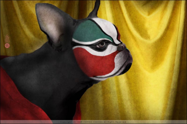 �Ї�(gu��)Ԫ��-��(d��ng)��Ę�V