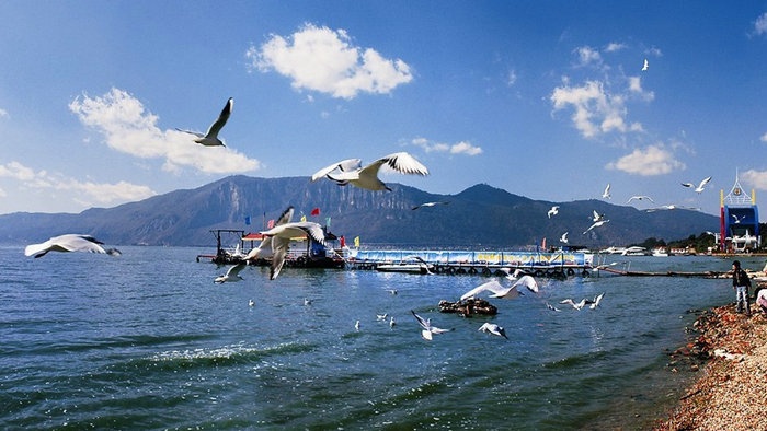 ������;һ·�����L(zh��ng)�ٻ�܇(ch��)��·��(xi��n)���]��1��