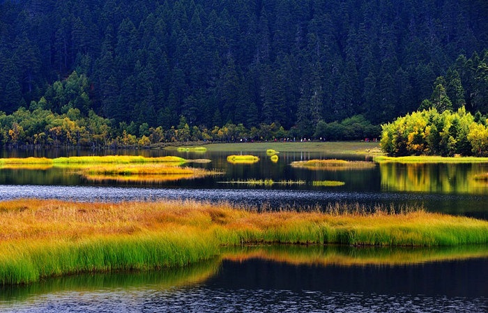 ������;һ·�����L(zh��ng)�ٻ�܇(ch��)��·��(xi��n)���]��1��