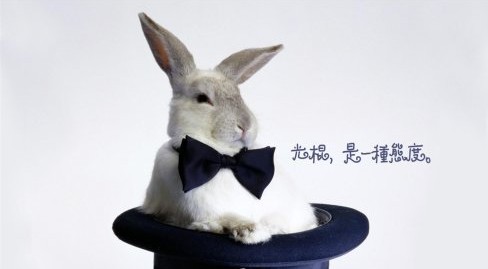 ��(sh��)��(j��)��̣��R�Ƶġ��p11�������(ji��)��(sh��)�(y��n)