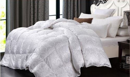 �Ҽ�Ʒ���pʮһ�A(y��)�ۡ����������M��