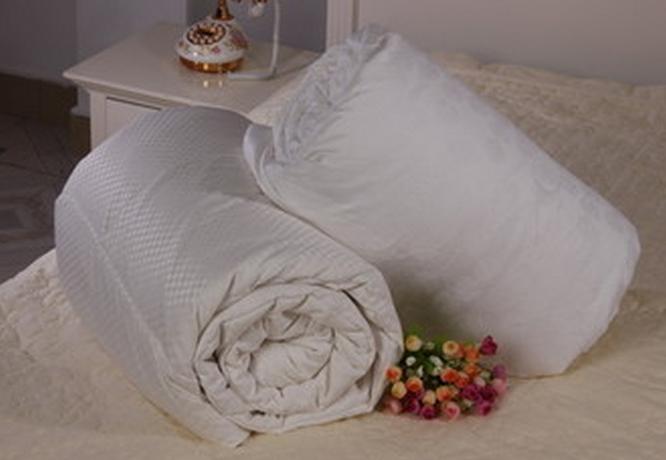 �����Q�z�����ע�����(xi��ng)