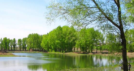 �W�ɼҼ����Һʹ����Ђ�(g��)�s��(hu��)