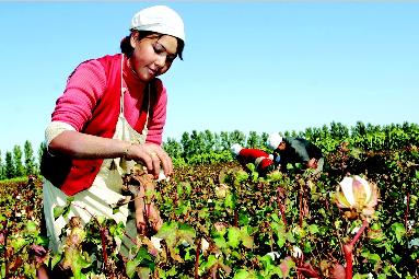 �½��������M(j��n)���ތ��б��������N��