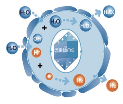 �{(l��n)Ʒ�Ƽ���Ů�ԼҼ������o����