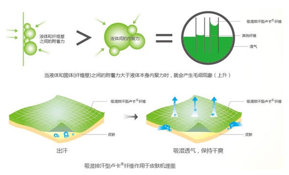 �{(l��n)Ʒ����R���w�S����ˬ˯�߲��ǉ���