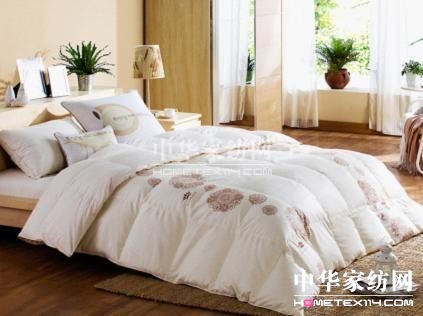 ���A�Ҽ��W(w��ng)�ĳ��L֮·