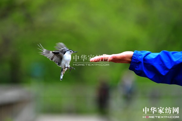 ��(d��o)ُ(g��u)��Ϋ@��͵����θУ�