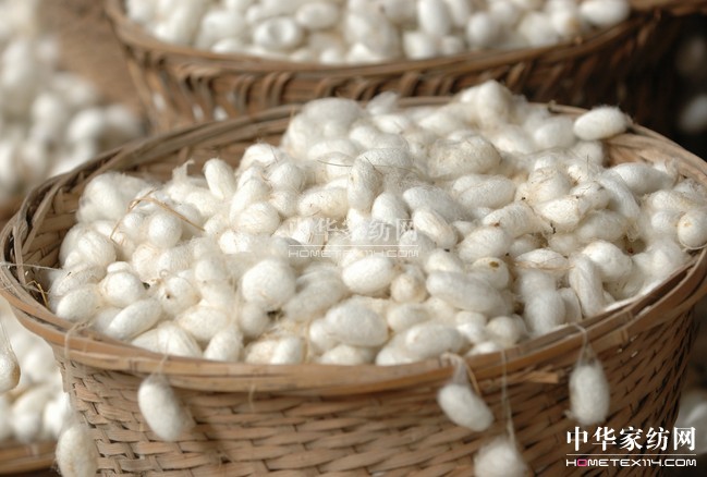 ���Ї�(gu��)�O�z֮���������Ĵ���ɽ