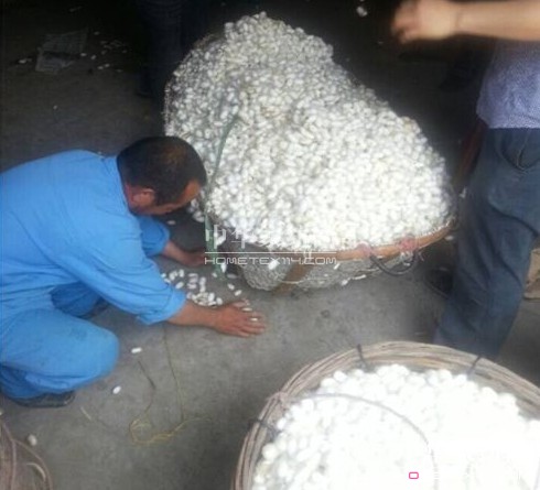 ͩ�l(xi��ng)�����d�ȵ��_ʼ��ُ���괺�O