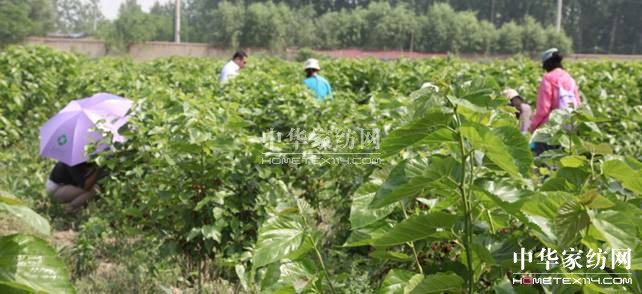 ���ýz�I��ɣ�ز�ժ��(ji��)�A�M��Ļ