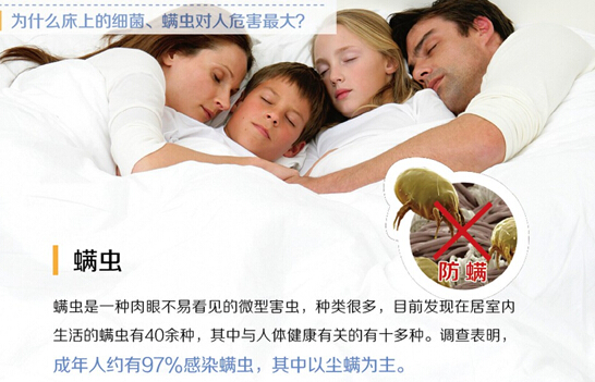 �O�ȝ������͐ۛ]�����x�ı���