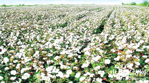 �Č��Ё��W���[�����e�k�����a(ch��n)�I(y��)���