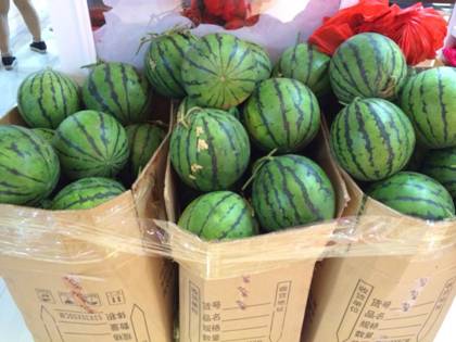 �W�ɼҼ�ƽ�ȵ�������}(c��ng)���M(j��n)���У�