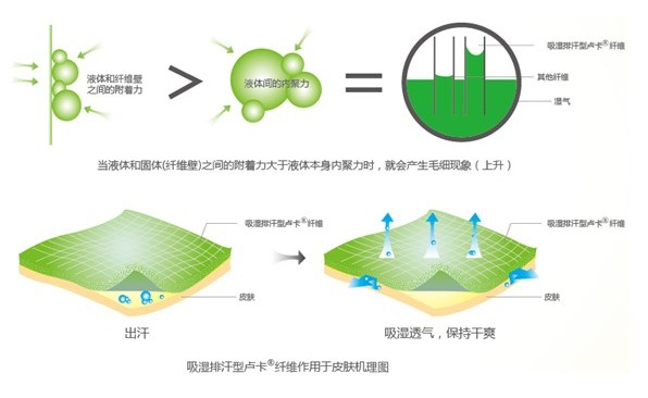 �ļ���Ʒ�o(h��)�B(y��ng)����ϴ��߀����